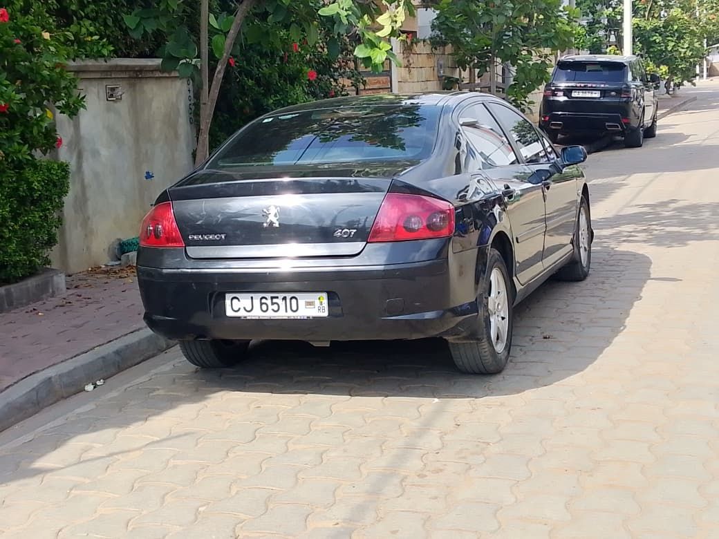 Peugeot 407